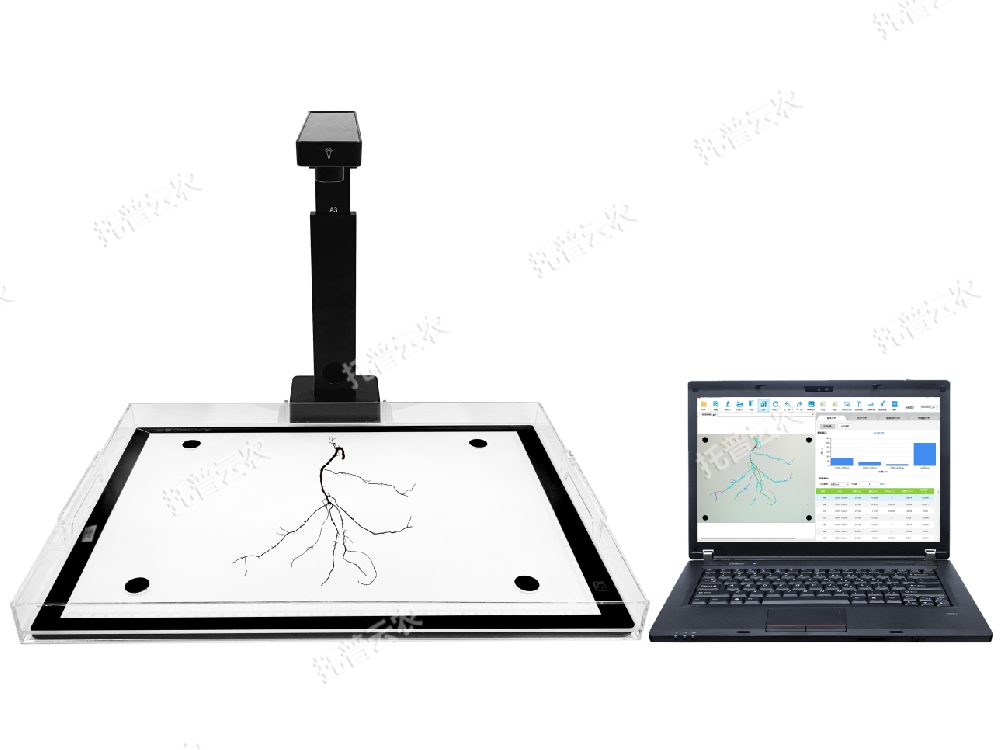 根系圖像分析儀：一款拍照式研究植物根系生長(zhǎng)的專(zhuān)業(yè)儀器