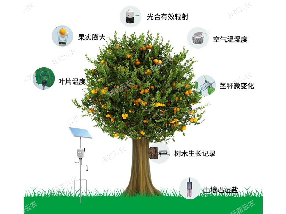 植物生理生態(tài)監(jiān)測系統(tǒng)：為監(jiān)測植物生理生態(tài)指標(biāo)提供科學(xué)數(shù)據(jù)