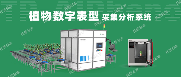 植物數(shù)字表型采集分析系統(tǒng) ——高通量、高精度，植物表型測量理想之選！